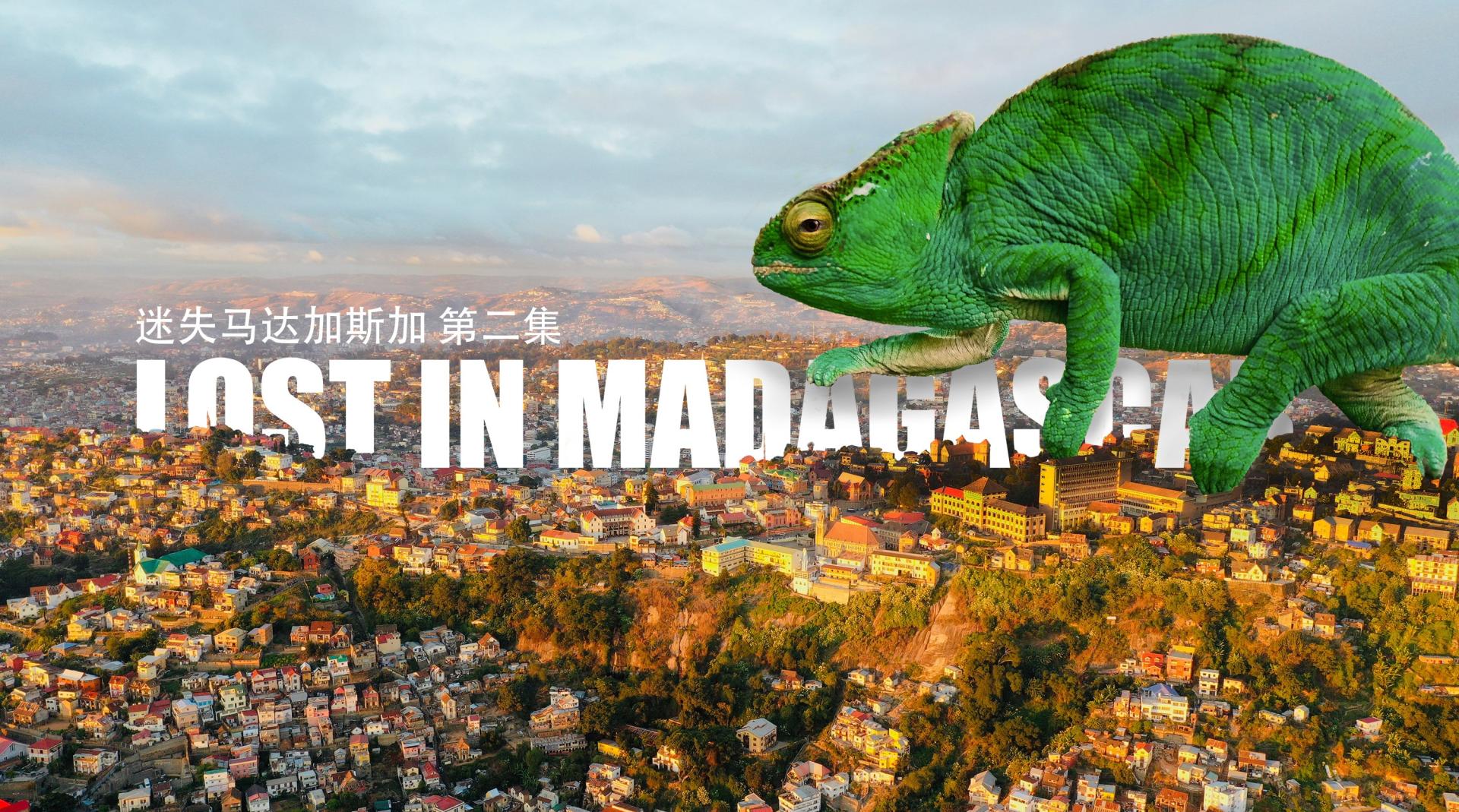 迷失马达加斯加 第二集 (去看变色龙与购买摩托车)