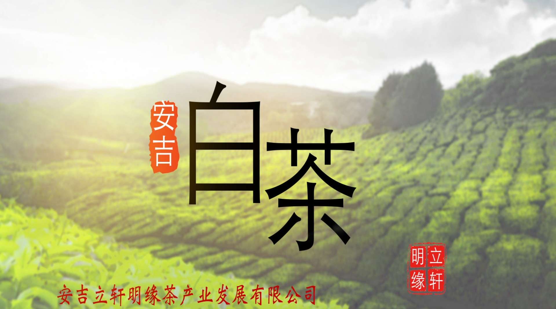 一片叶子—安吉立轩明缘茶产业有限公司