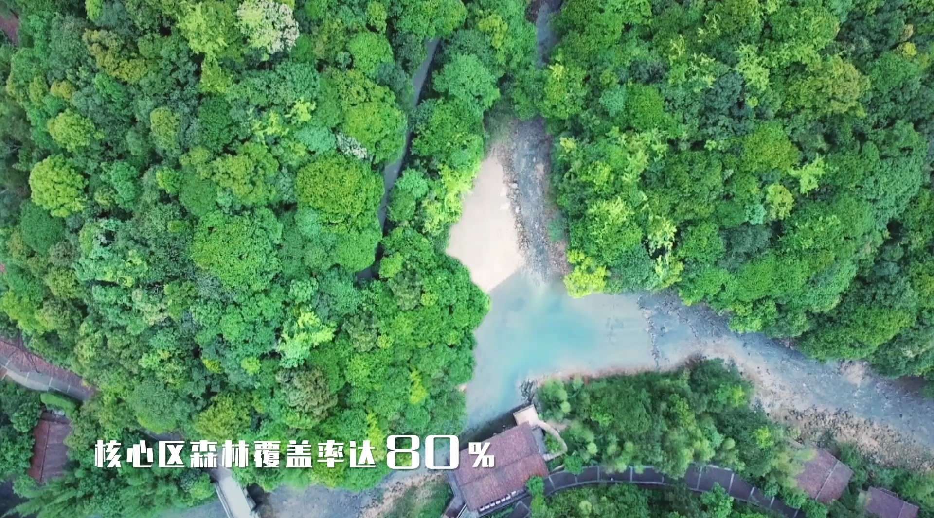 鄢陵城市形象宣传片