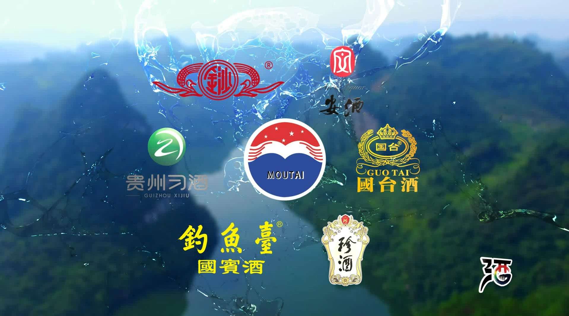 贵州白酒产业央视广告