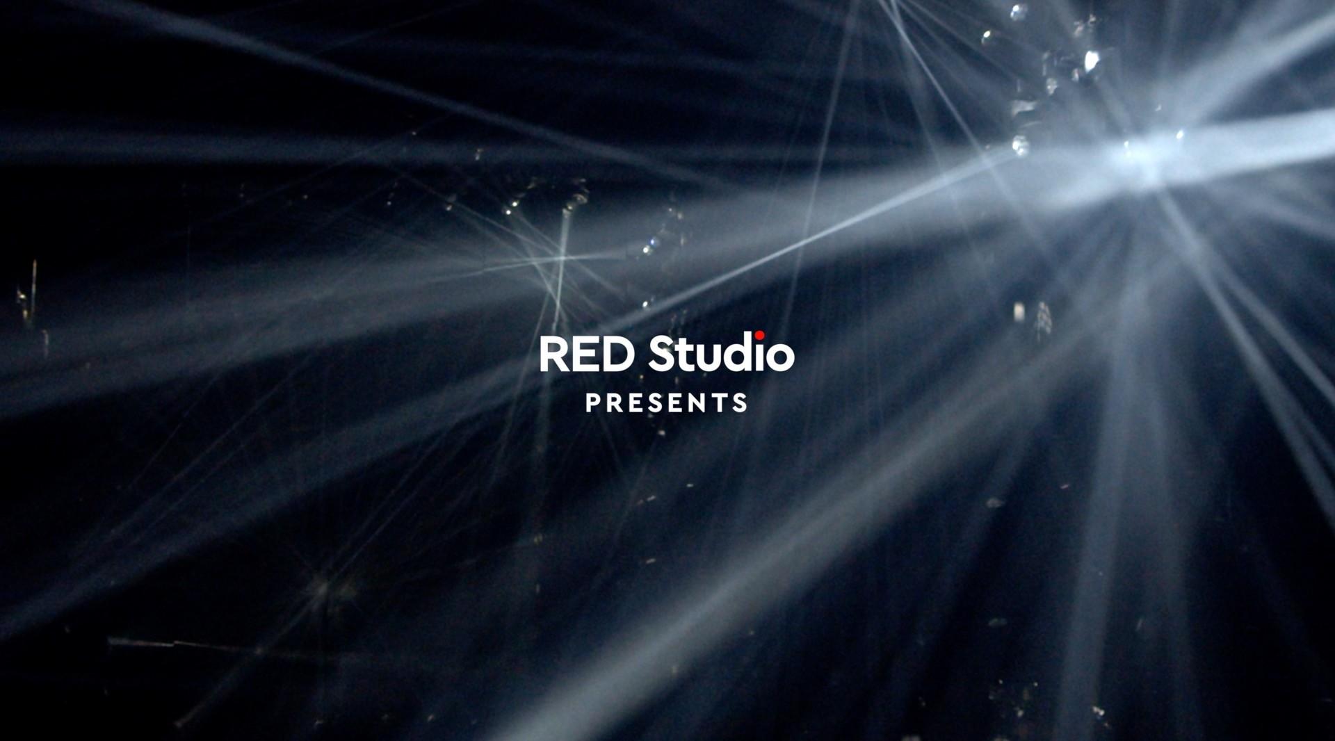 RED Studio—teamLab 上海无界美术馆