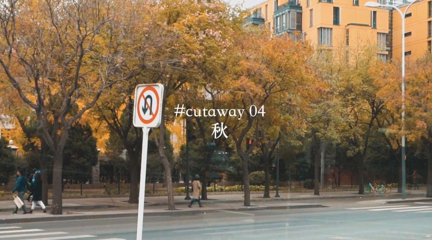 Cutaway 秋/央美