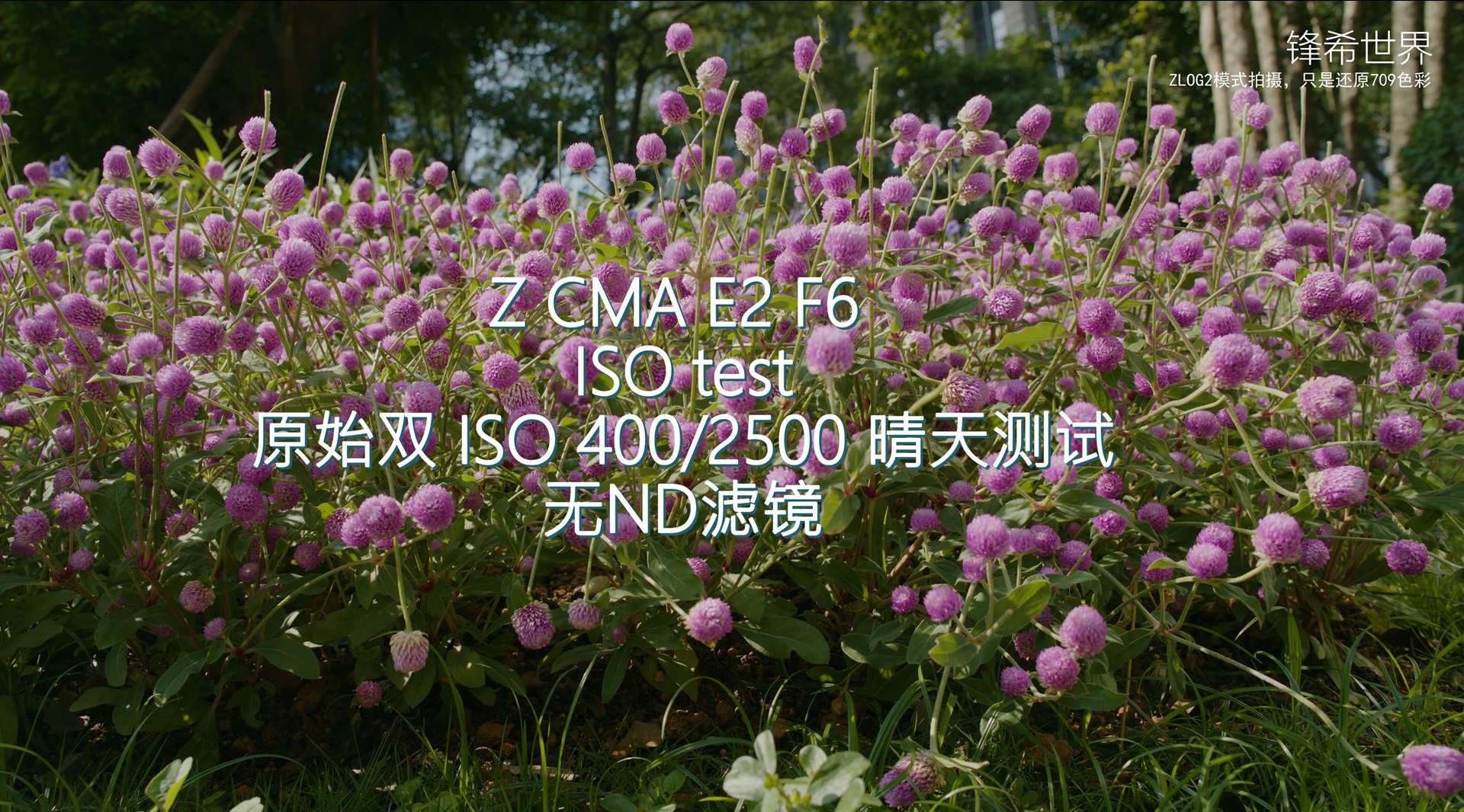 Z Cam E2 F6 原生ISO400、2500拍摄，晴天实拍，无ND滤镜