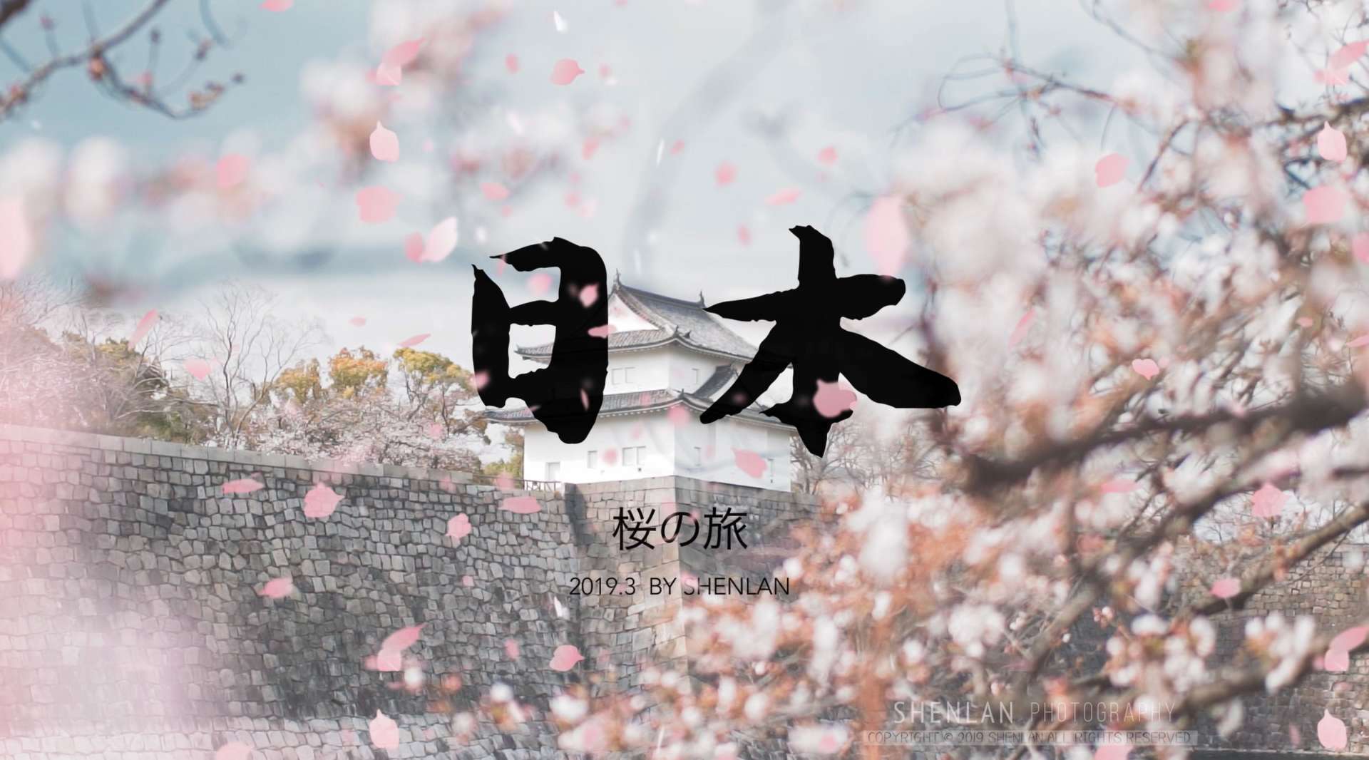 桜の旅 2019 Japan cherry blossom travel 京都 大阪 奈良 东京