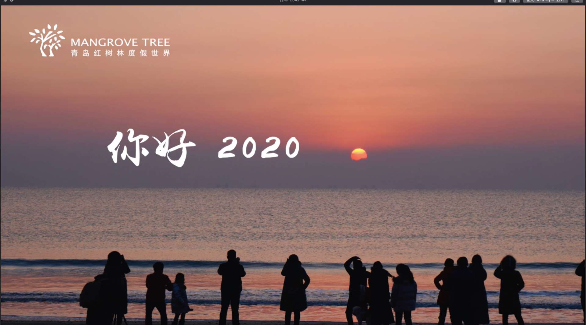 你好 2020-青岛红树林度假世界