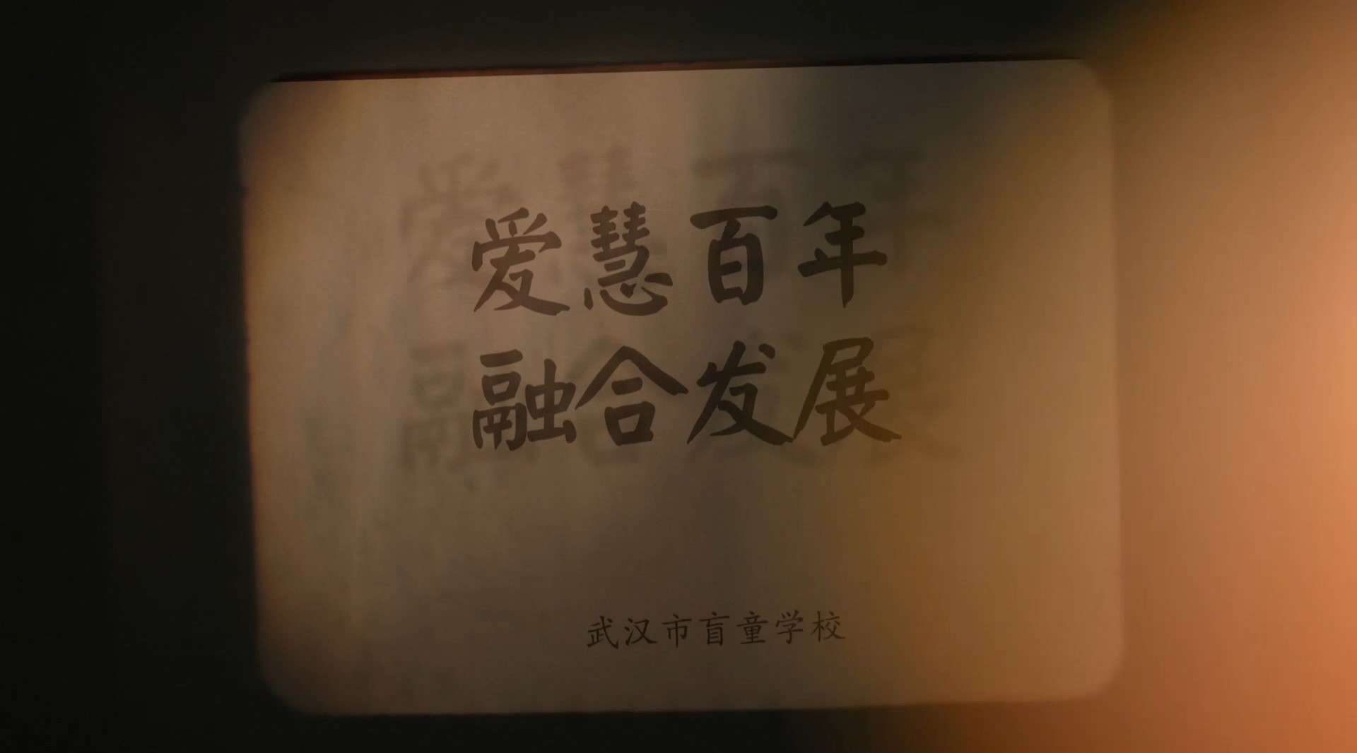 武汉盲校一百周年宣传片《爱慧百年 融合发展》20分钟版