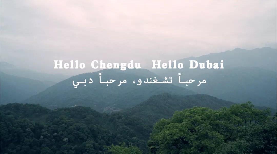 《Hello Chengdu Hello Dubai》