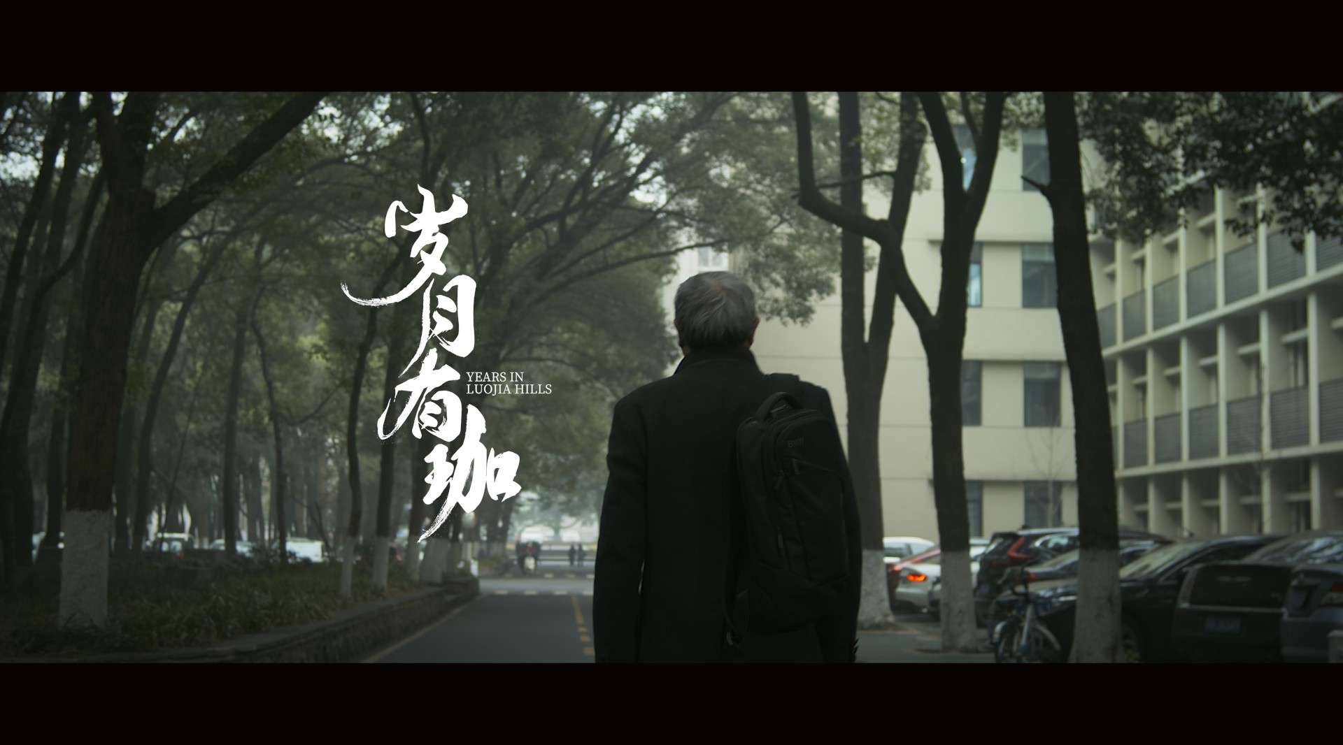 《岁月有珈》——武汉大学 剪辑版