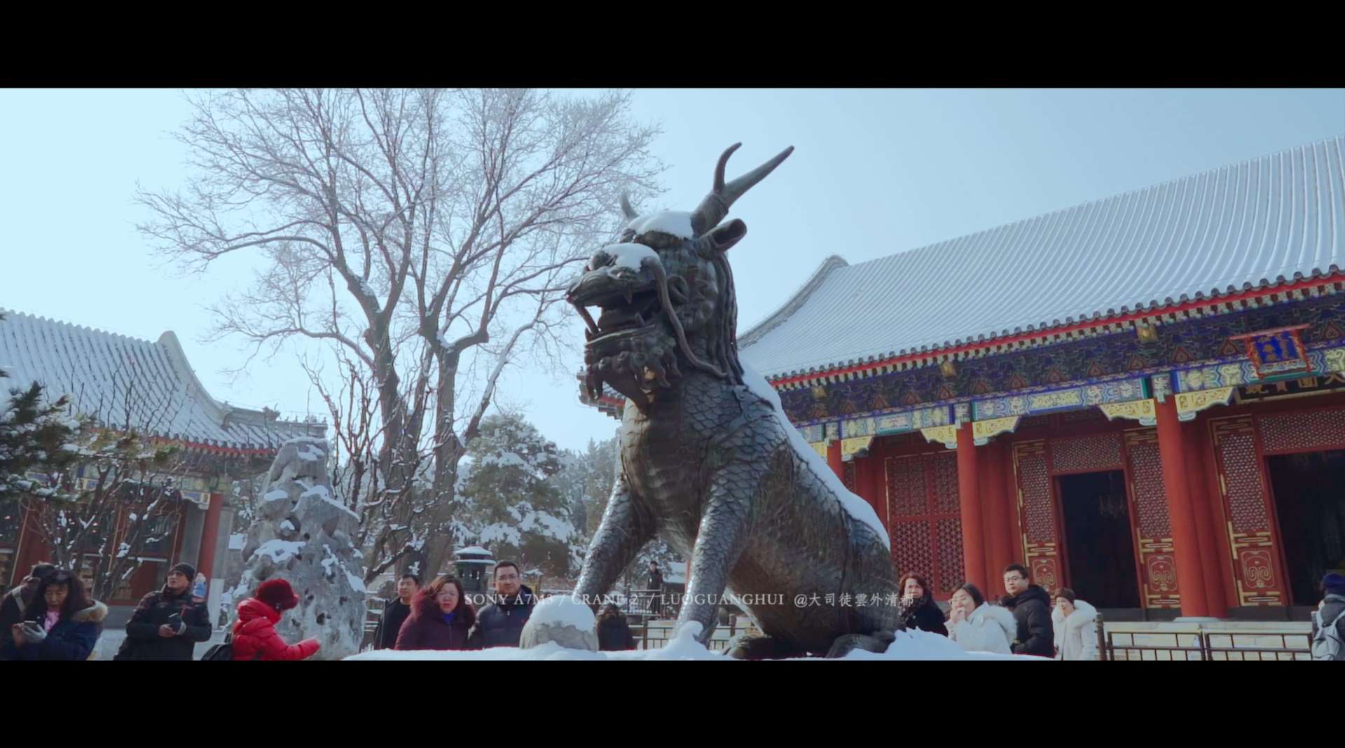 北京初雪 颐和园的雪