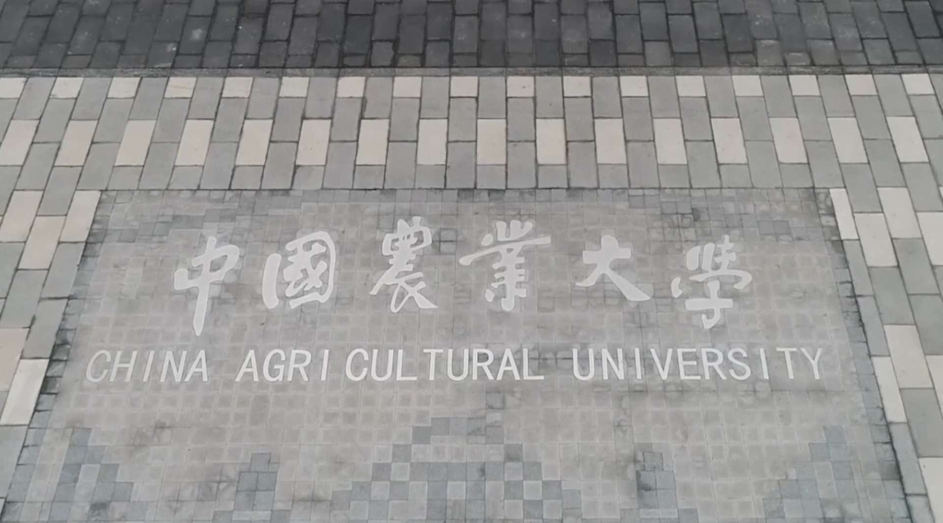 中国农业大学人才招聘宣传片