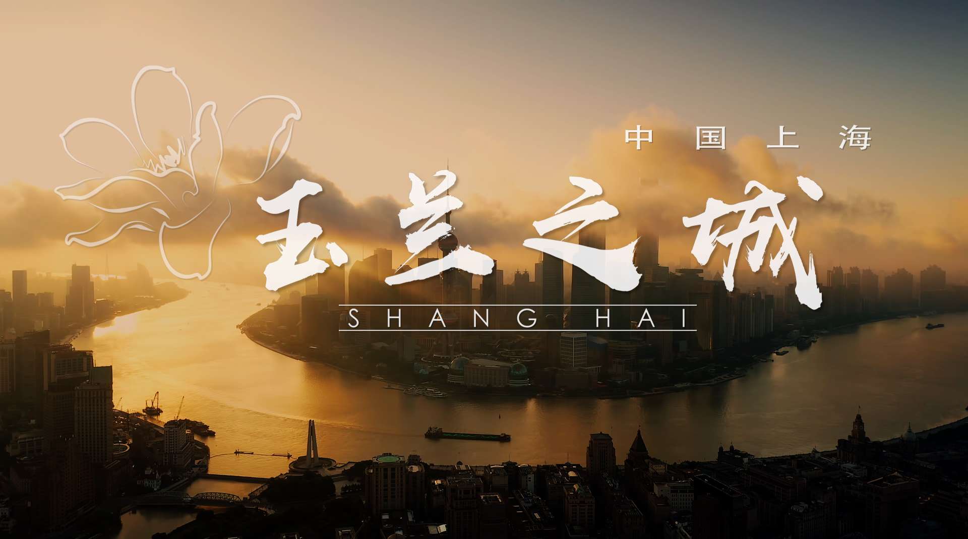 8K上海城市宣传片《玉兰之城》导演版