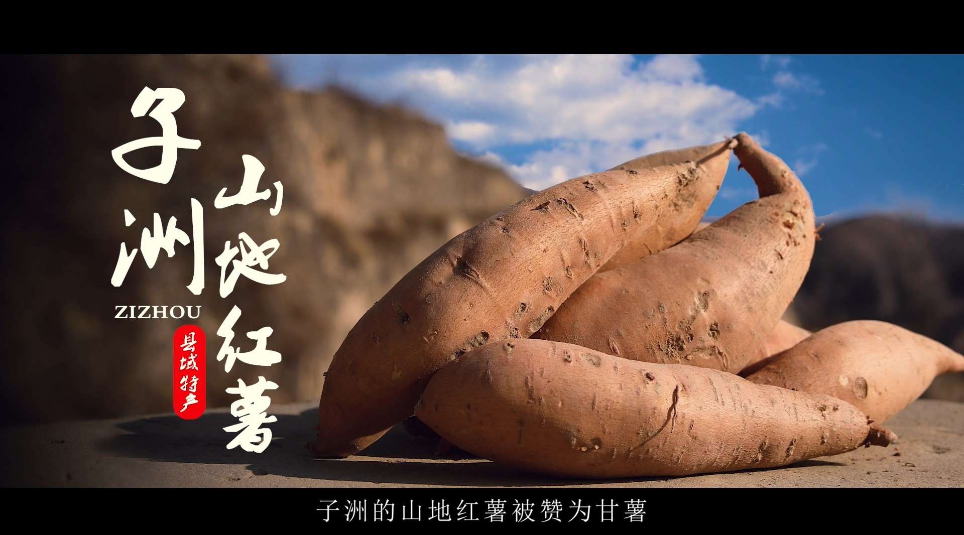 子洲山地红薯宣传短片