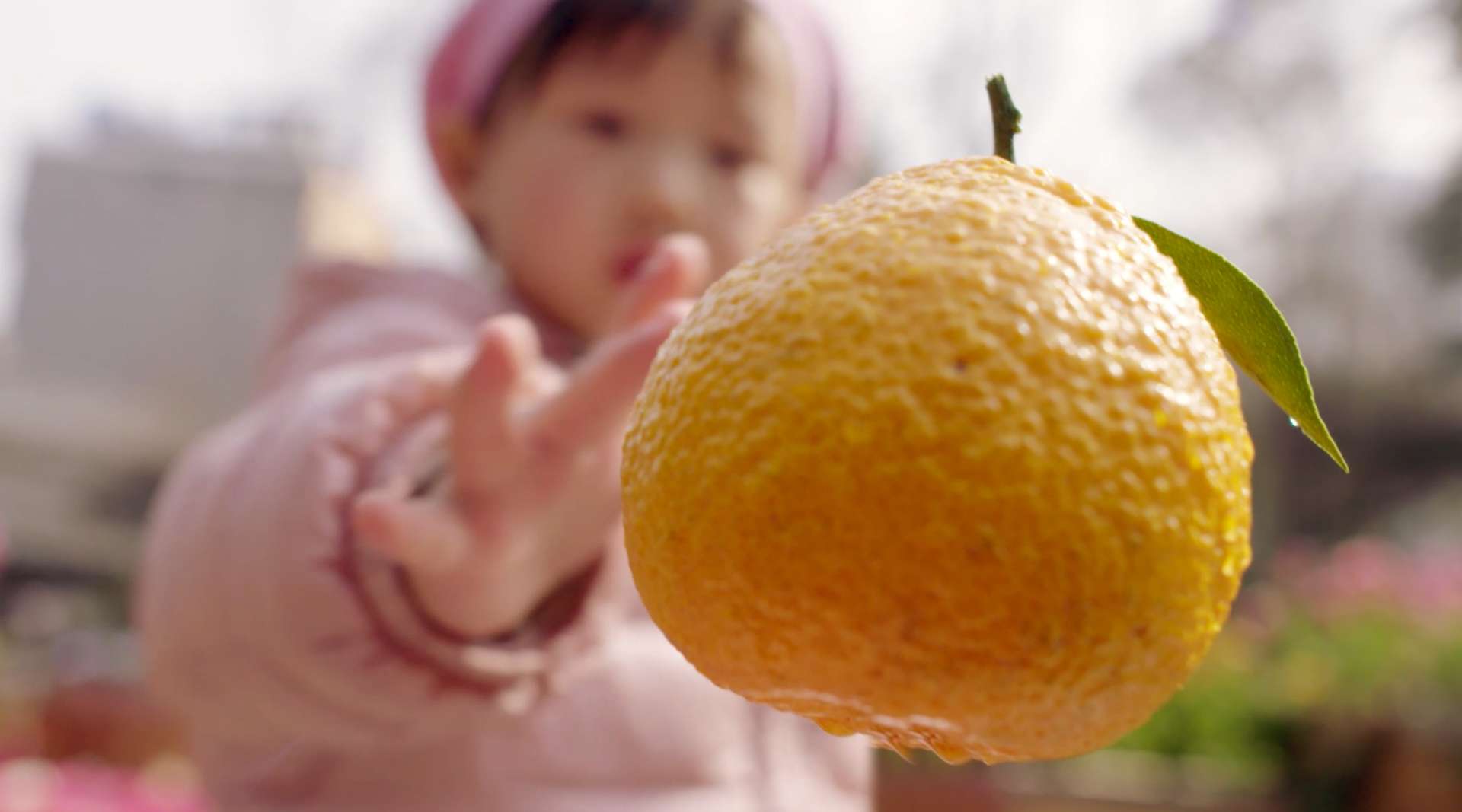 中国扶贫基金会公益片：黄果柑的旅程