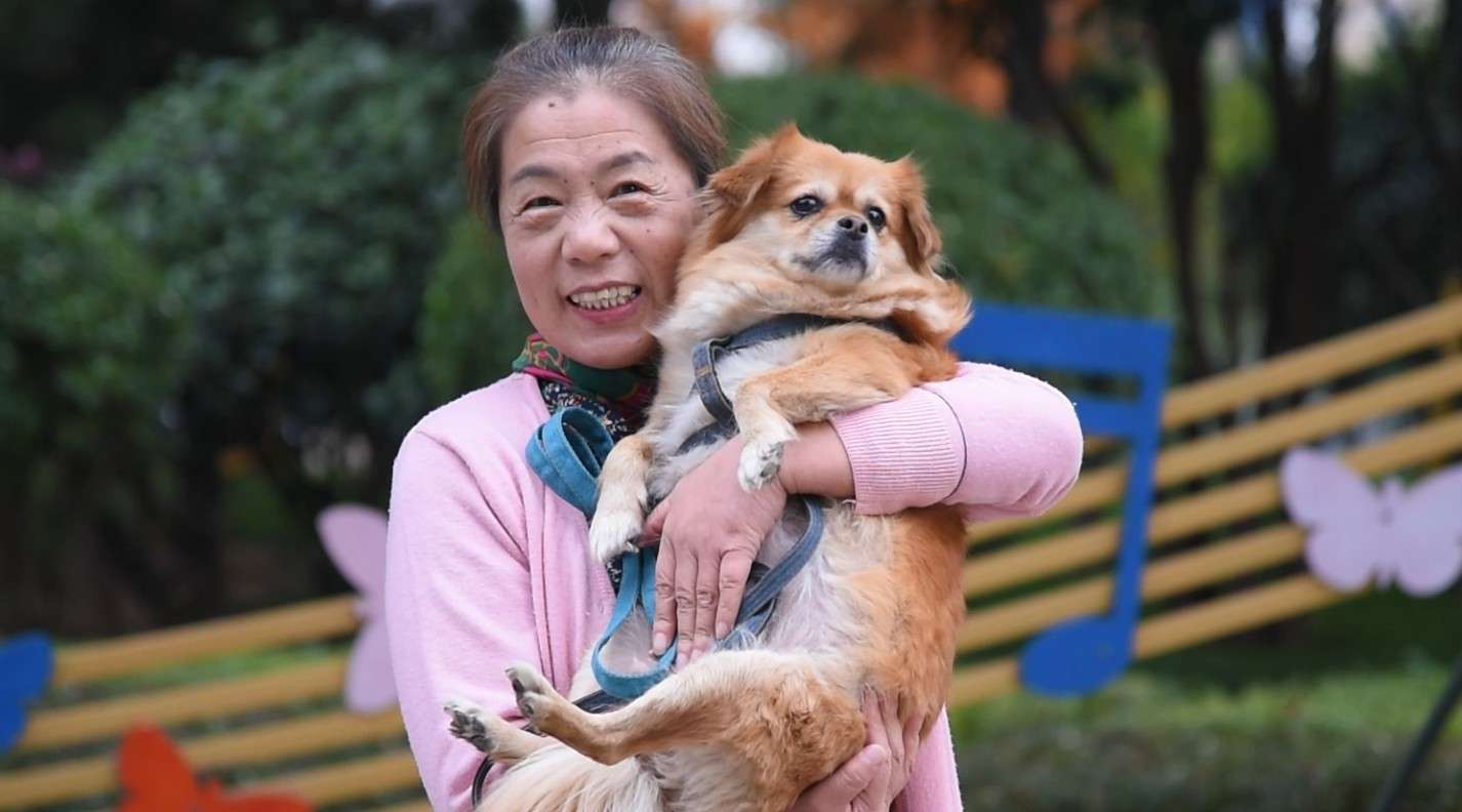 恒大城社区文明养犬宣传片