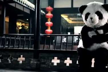 创意旅行微电影《爱，在四川之熊猫篇》