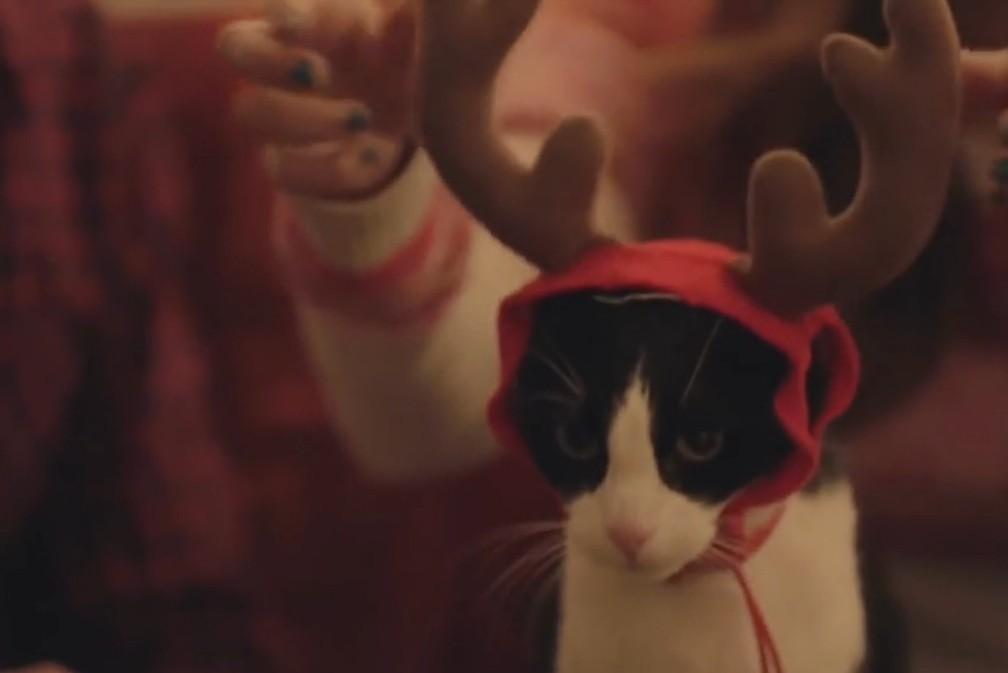 萌趣恶搞广告短片《喵星人看圣诞》