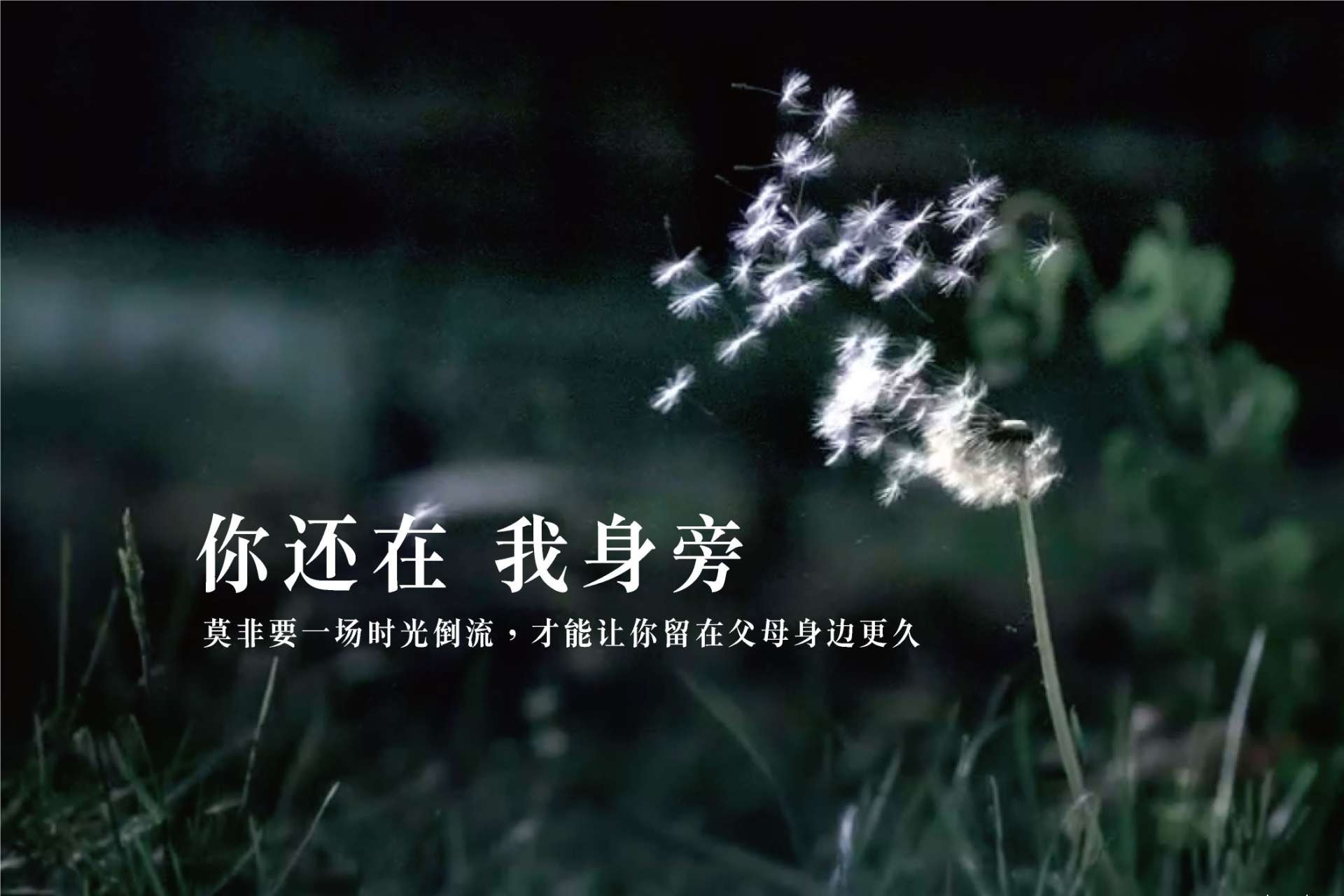 央视2015春节诗意广告短片《时光倒流》