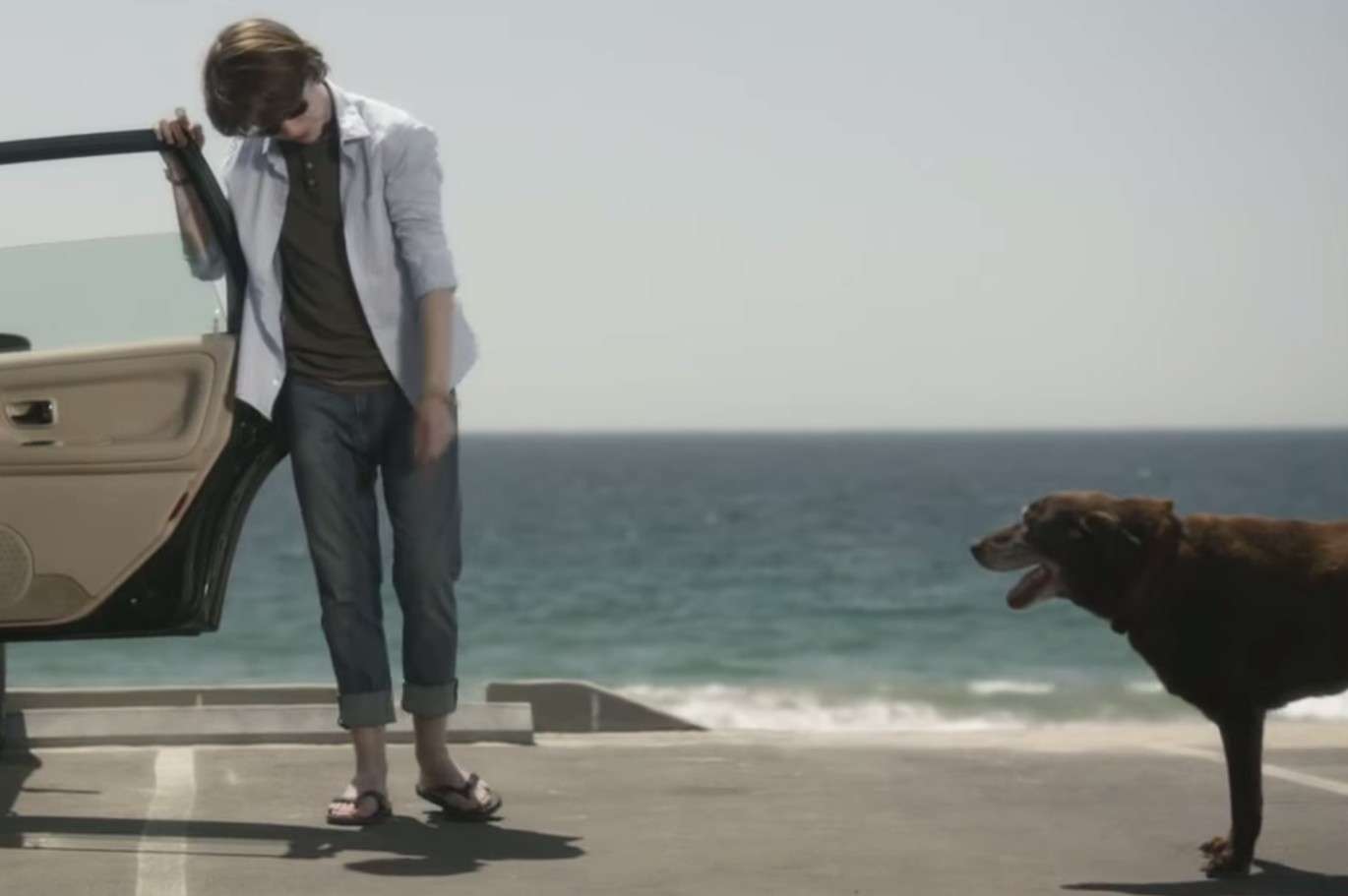催泪感人治愈系广告《男孩与他的狗狗》