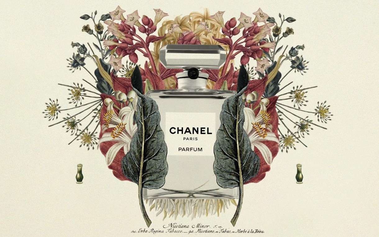 香奈儿设计理念阐释《一瓶香水的自画像》