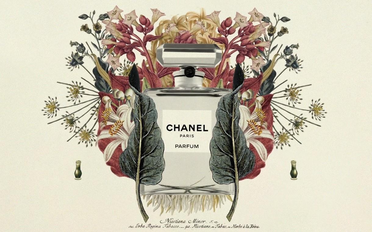 香奈儿设计理念阐释《一瓶香水的自画像》