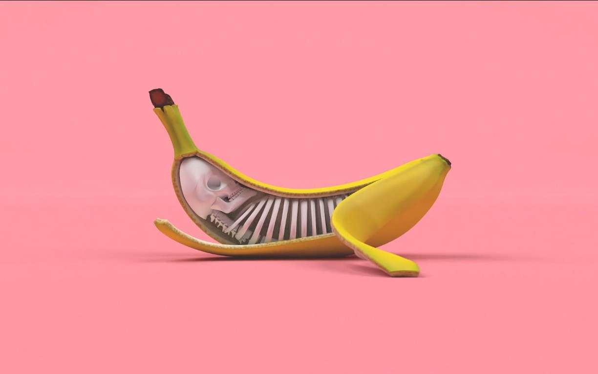 超现实主题创意动画《香蕉的多样演绎》