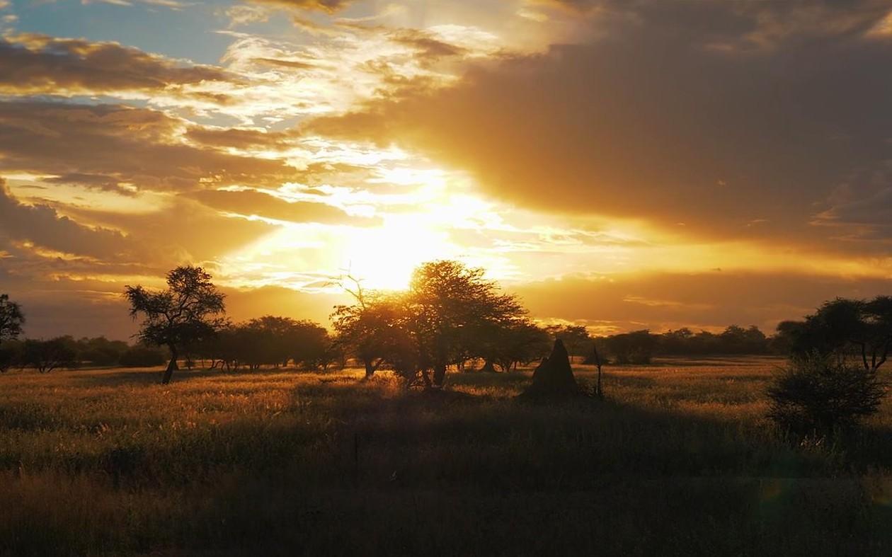 美丽非洲摄影短片《狂野纳米比亚》