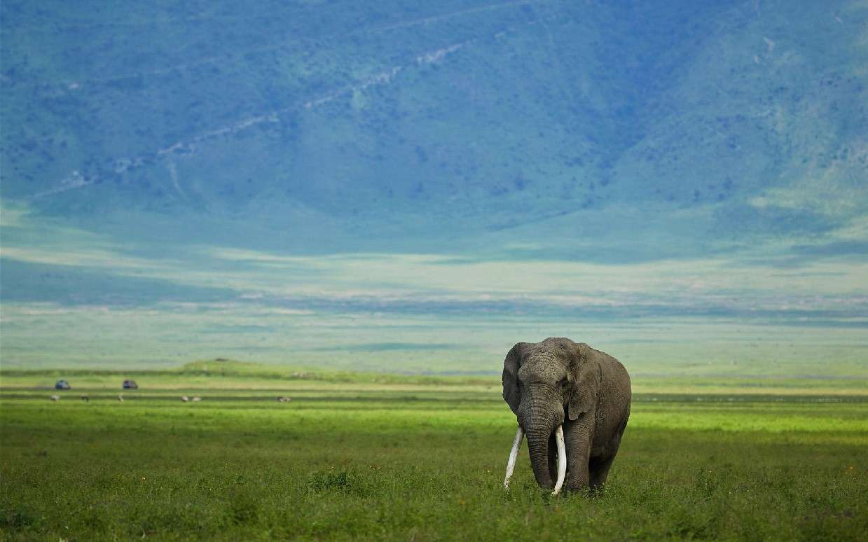 美妙自然非洲旅行短片《缤纷坦桑尼亚》