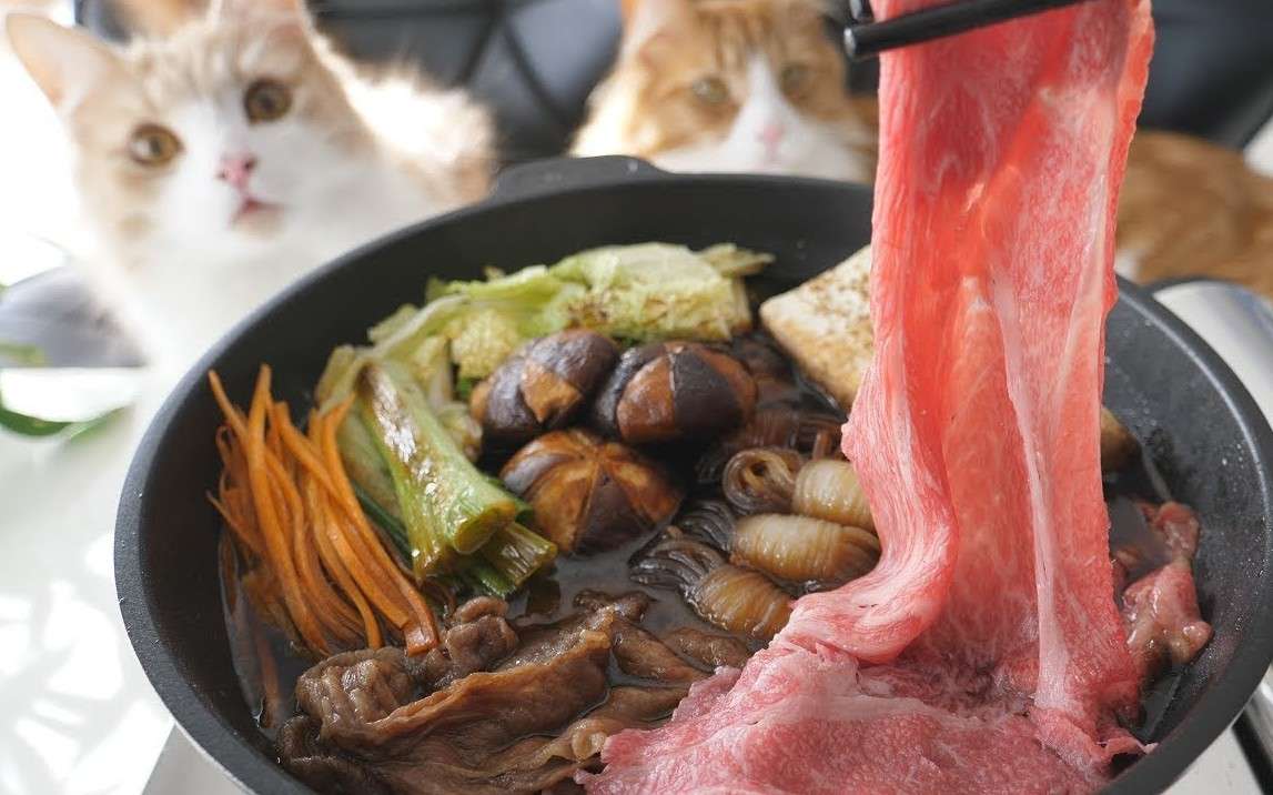 日本猫咪厨房治愈短片《寿喜烧》