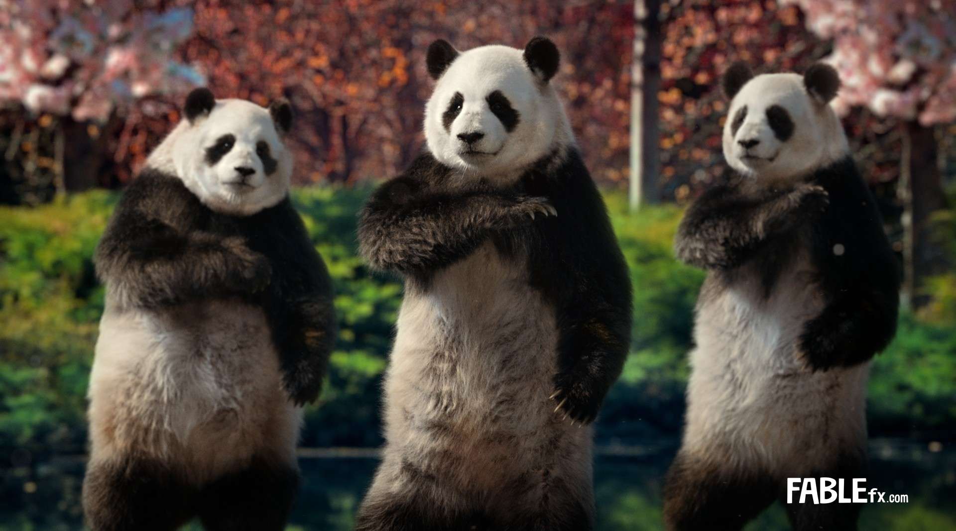 Sudocrem - Tai Chi Pandas