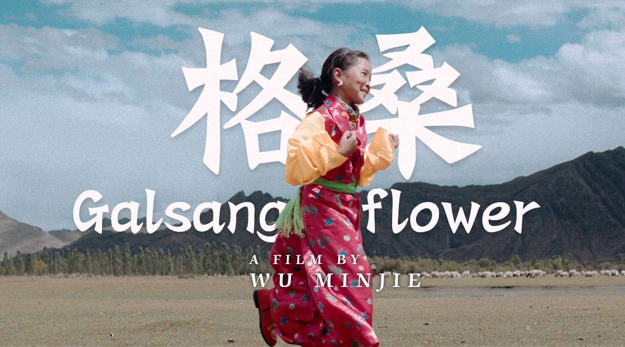 《格桑 Galsang flower》 公益短片4K版 青藏高原