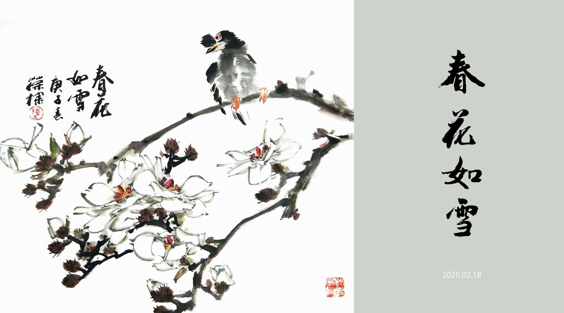 陈葆棣花鸟画二十四节气——惊蛰《春花如雪》