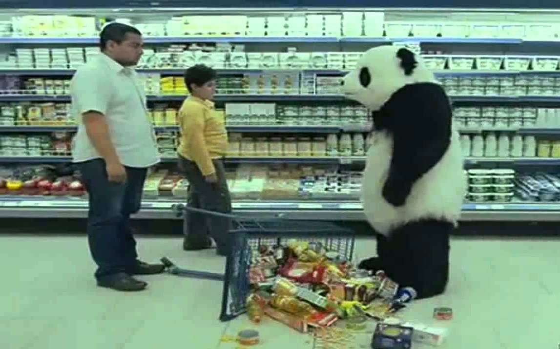 不笑算我输！这是我见过的最霸道的熊猫