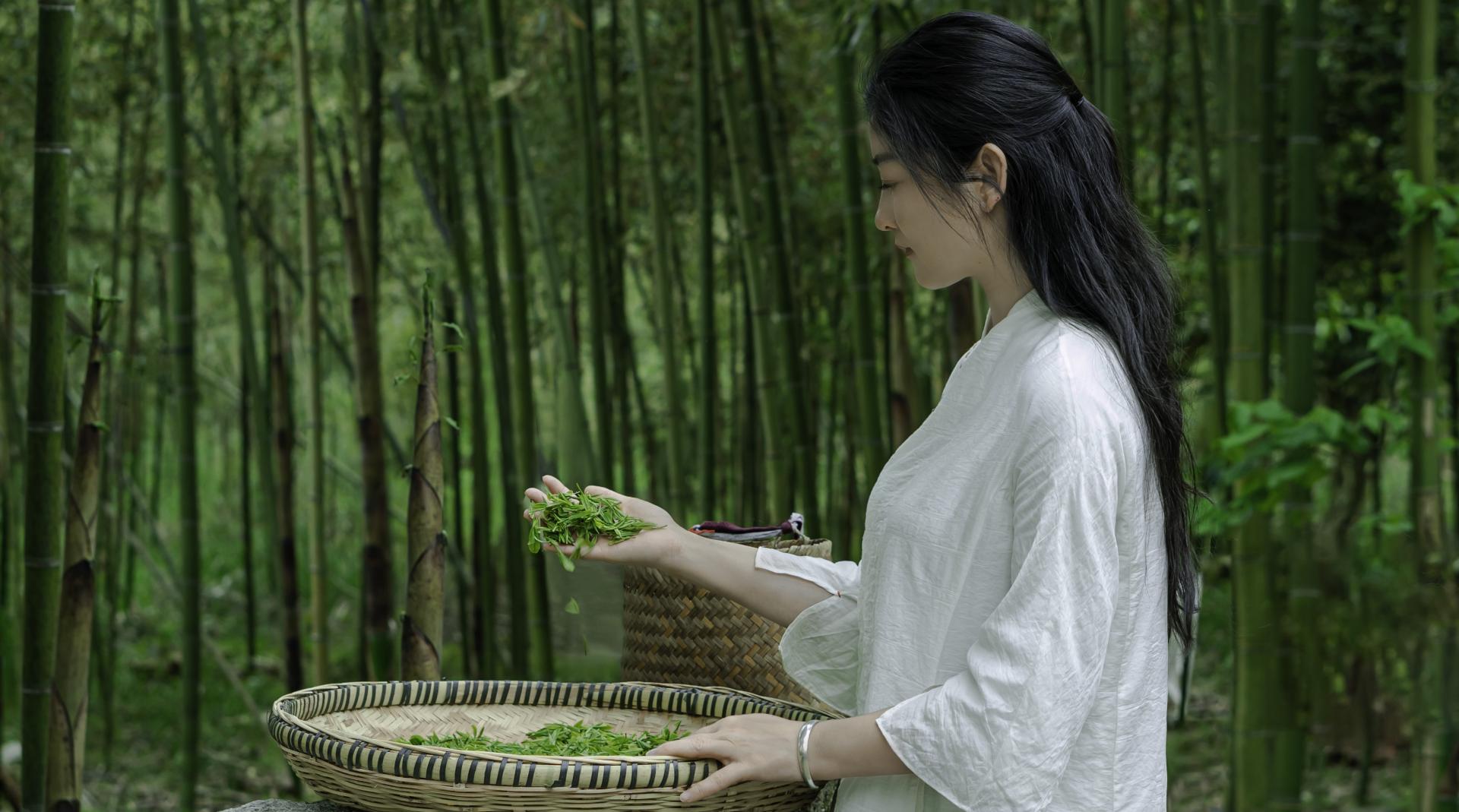 探寻中国传统文化二十四节气系列短片《时节未晚》