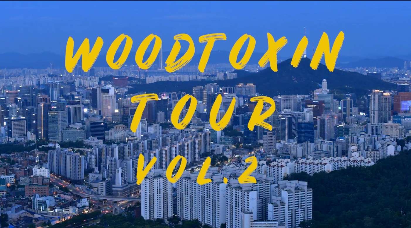 WOODTOXIN 韩国-木毒长板 vol.2