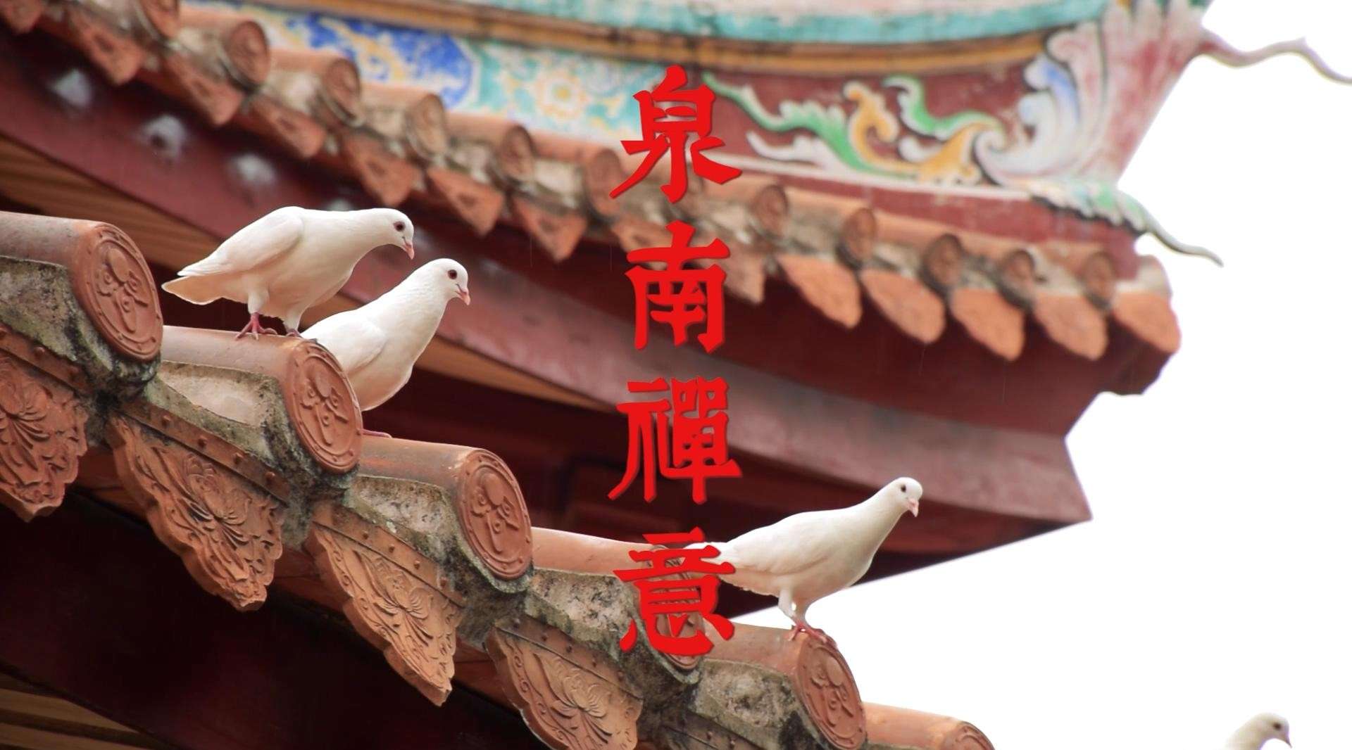 城市旅拍短片《泉南禅意》——泉州庙宇风光巡礼