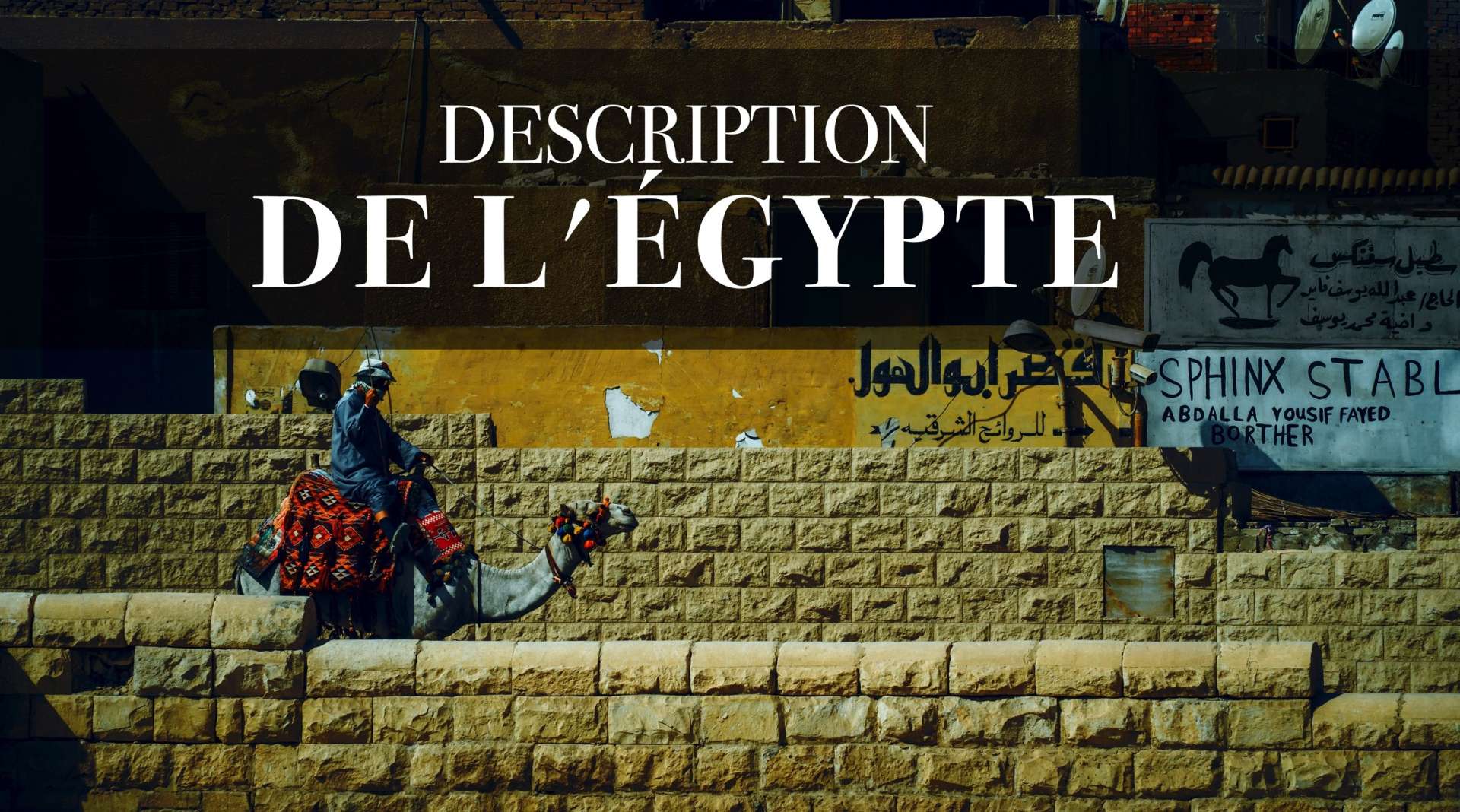 竖屏旅行视频：埃及记述