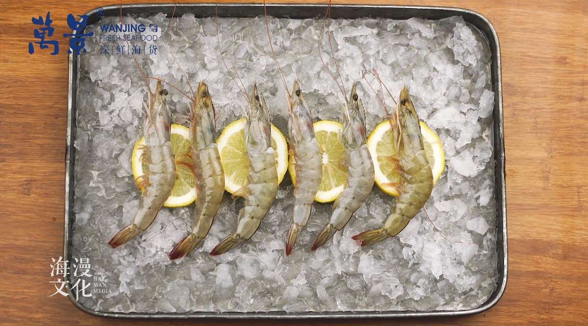 万景388—厄瓜多尔白虾产品视频