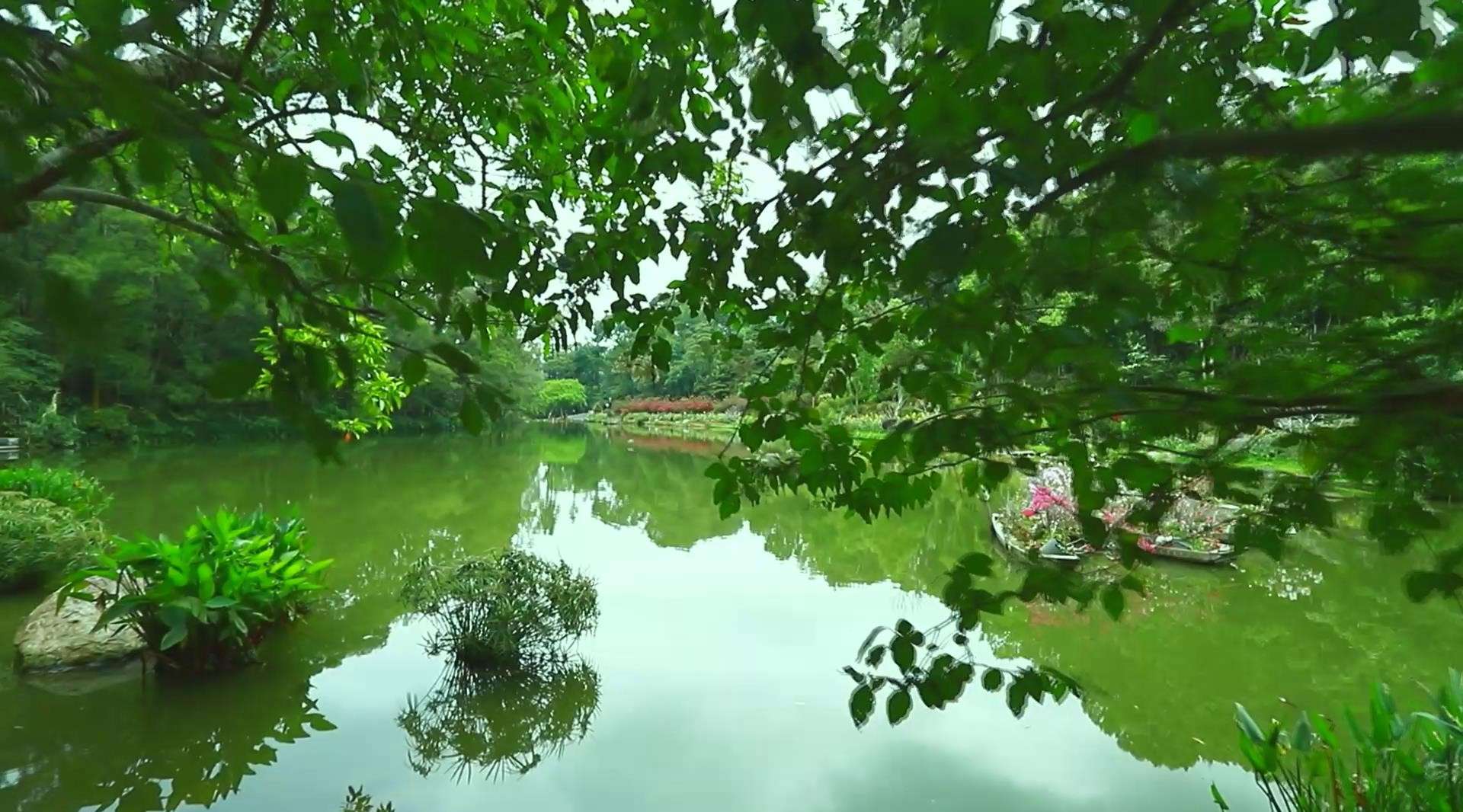 深圳天然大氧吧-仙湖植物园