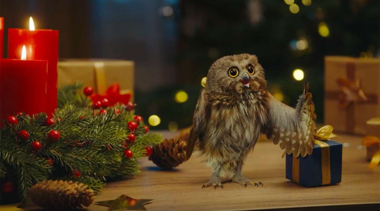圣诞超萌广告又来了《走丢的猫头鹰》