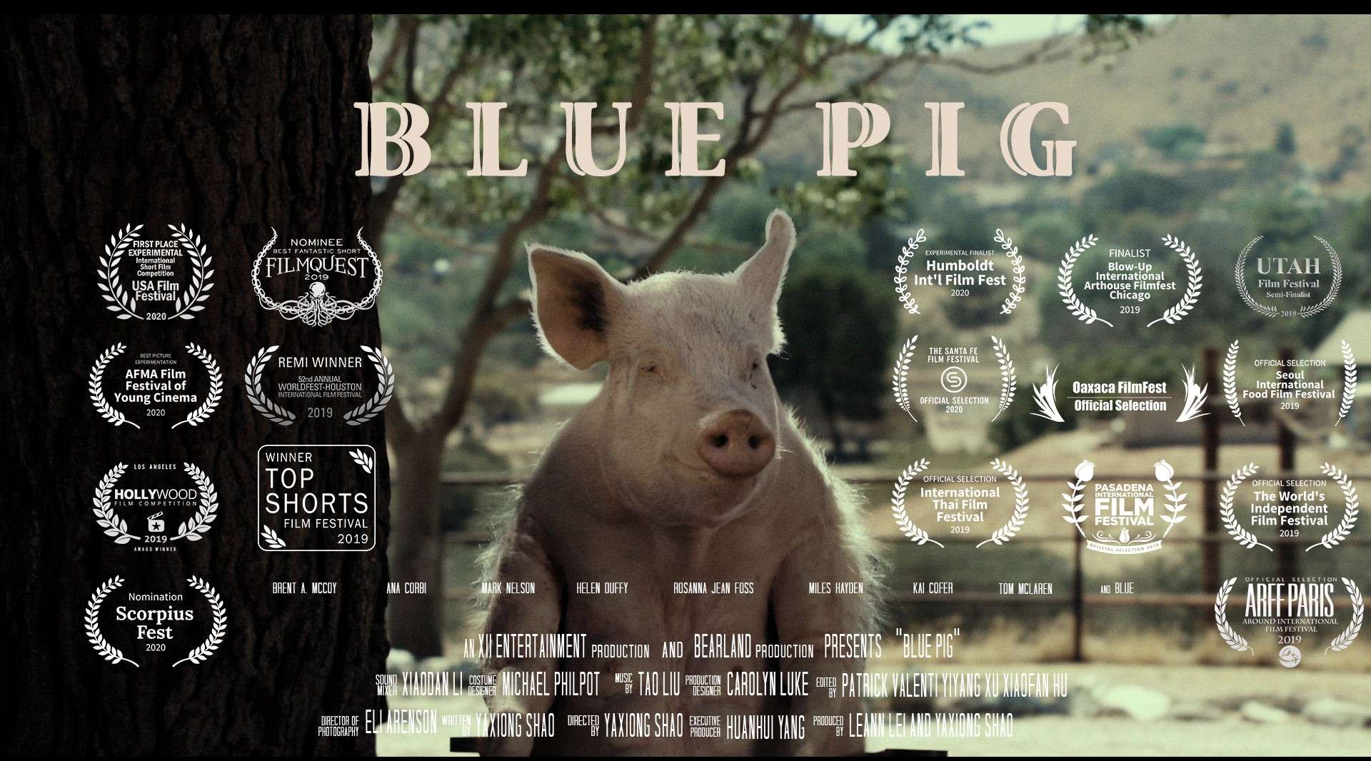 《蓝猪》-预告片（预计2020冬季上线）