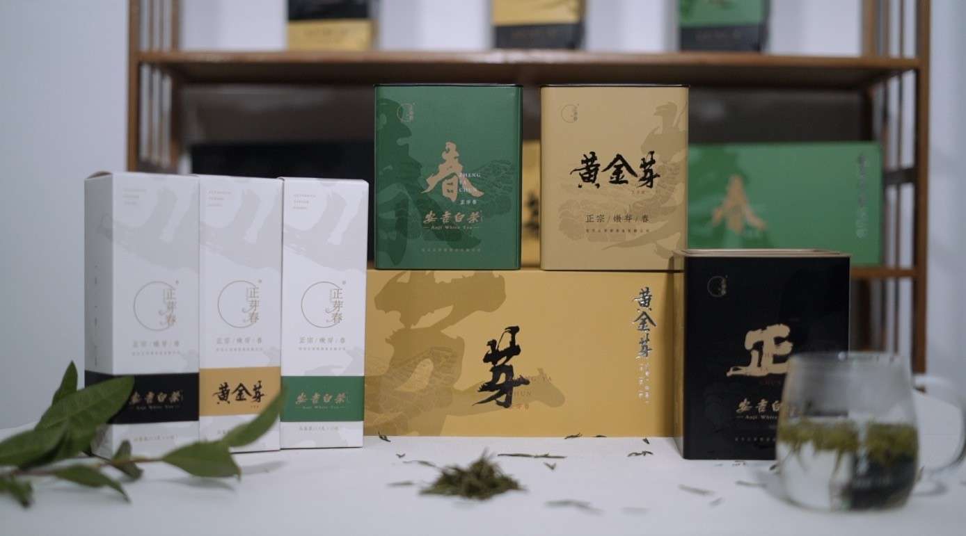 安吉白茶宣传片