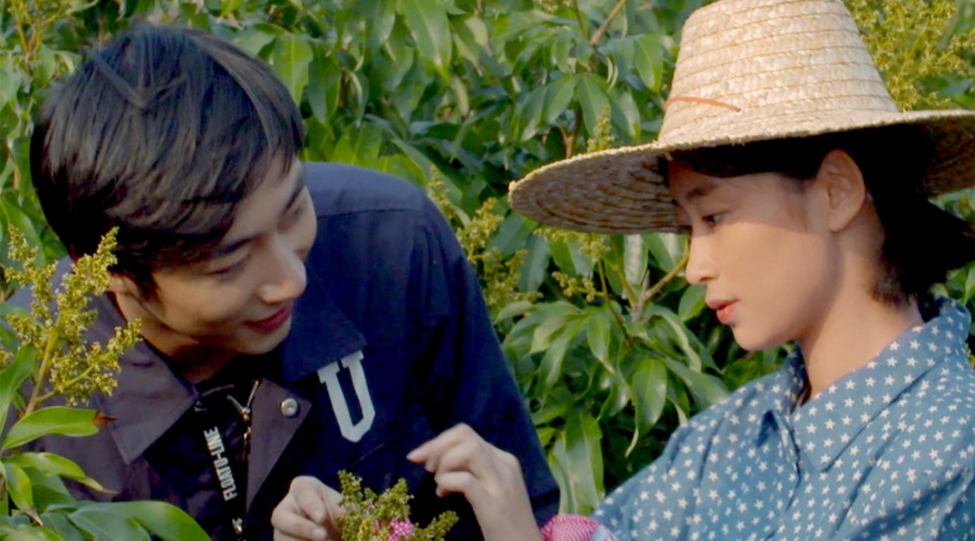 《荔枝红了》“第二届海南正能量系列微电影“之美丽乡村看海南