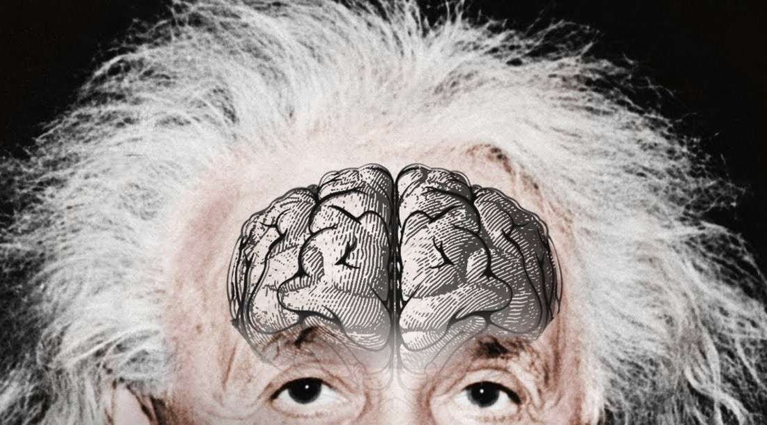 世界第一学霸《爱因斯坦的大脑之谜》
