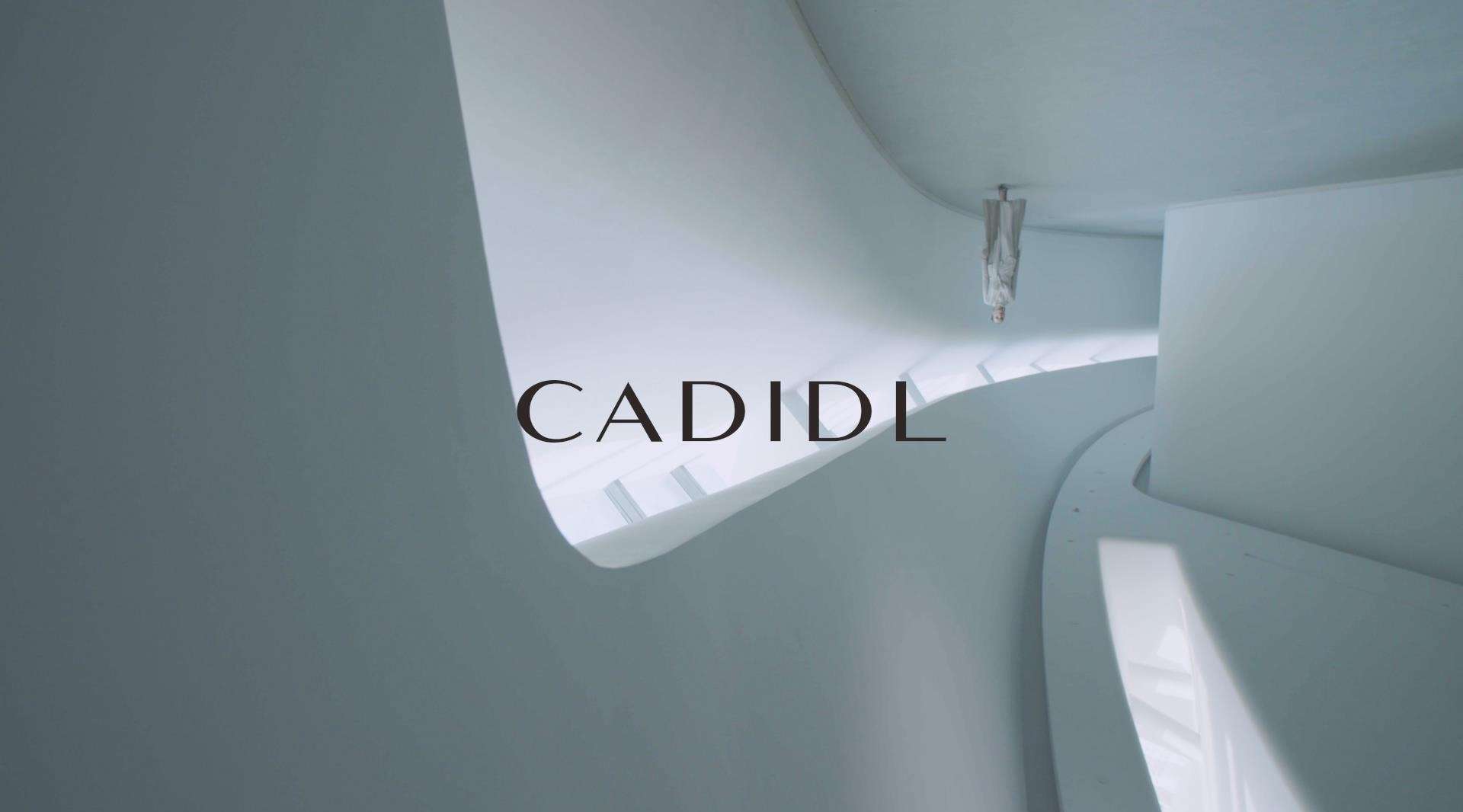 #CADIDL#  FW 2020（服装片）