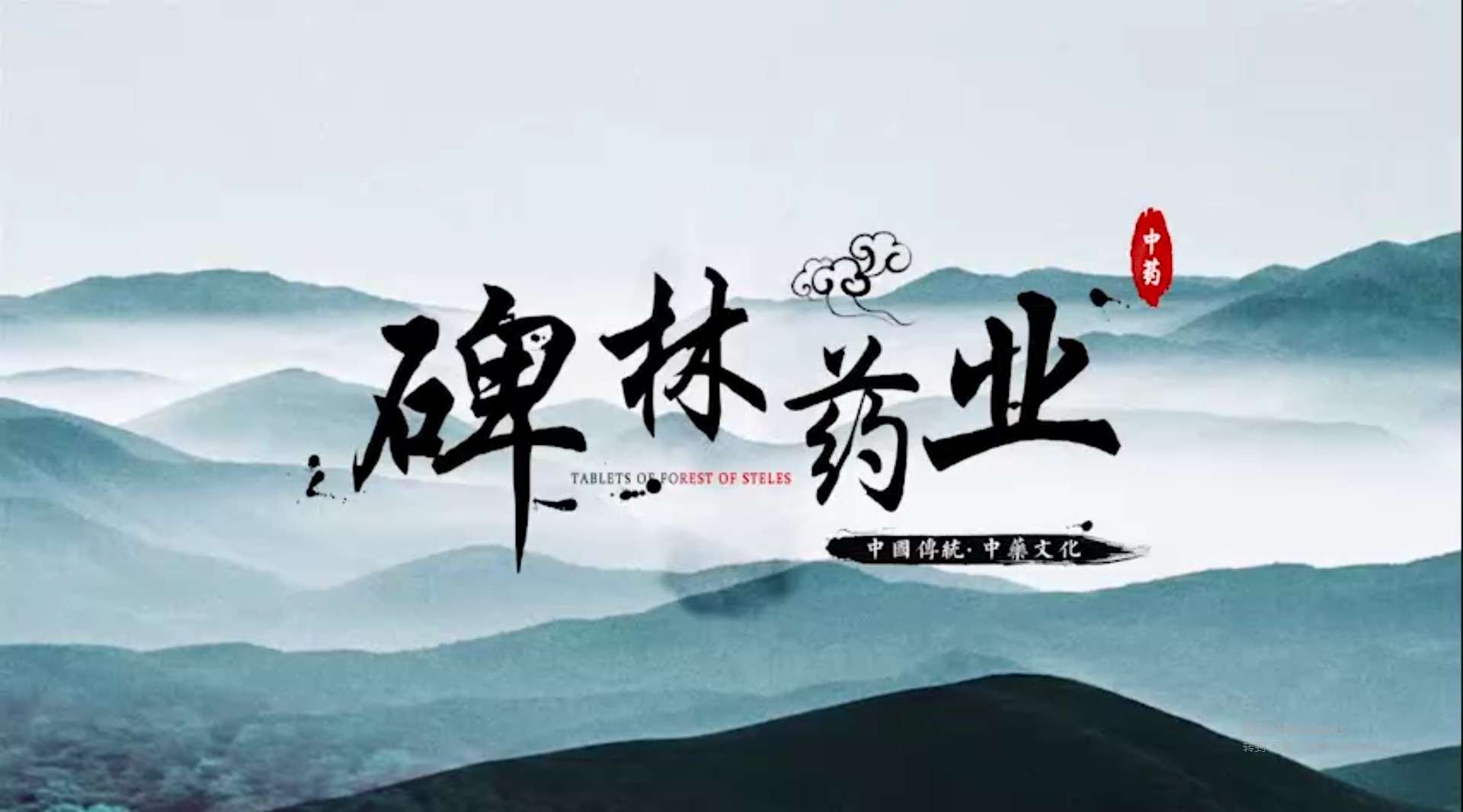 西安碑林药业（英文字幕）宣传片