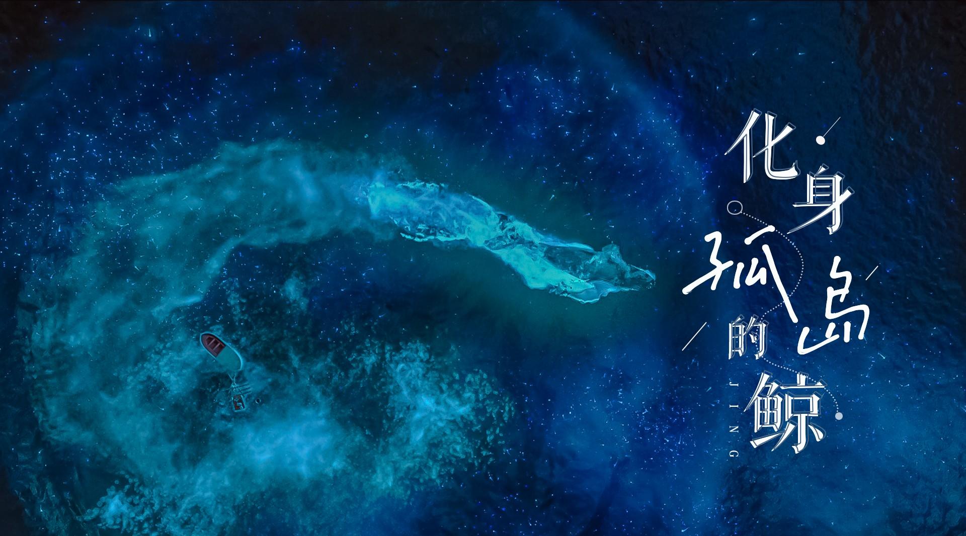 【4k】海蓝时见鲸，梦醒时见你