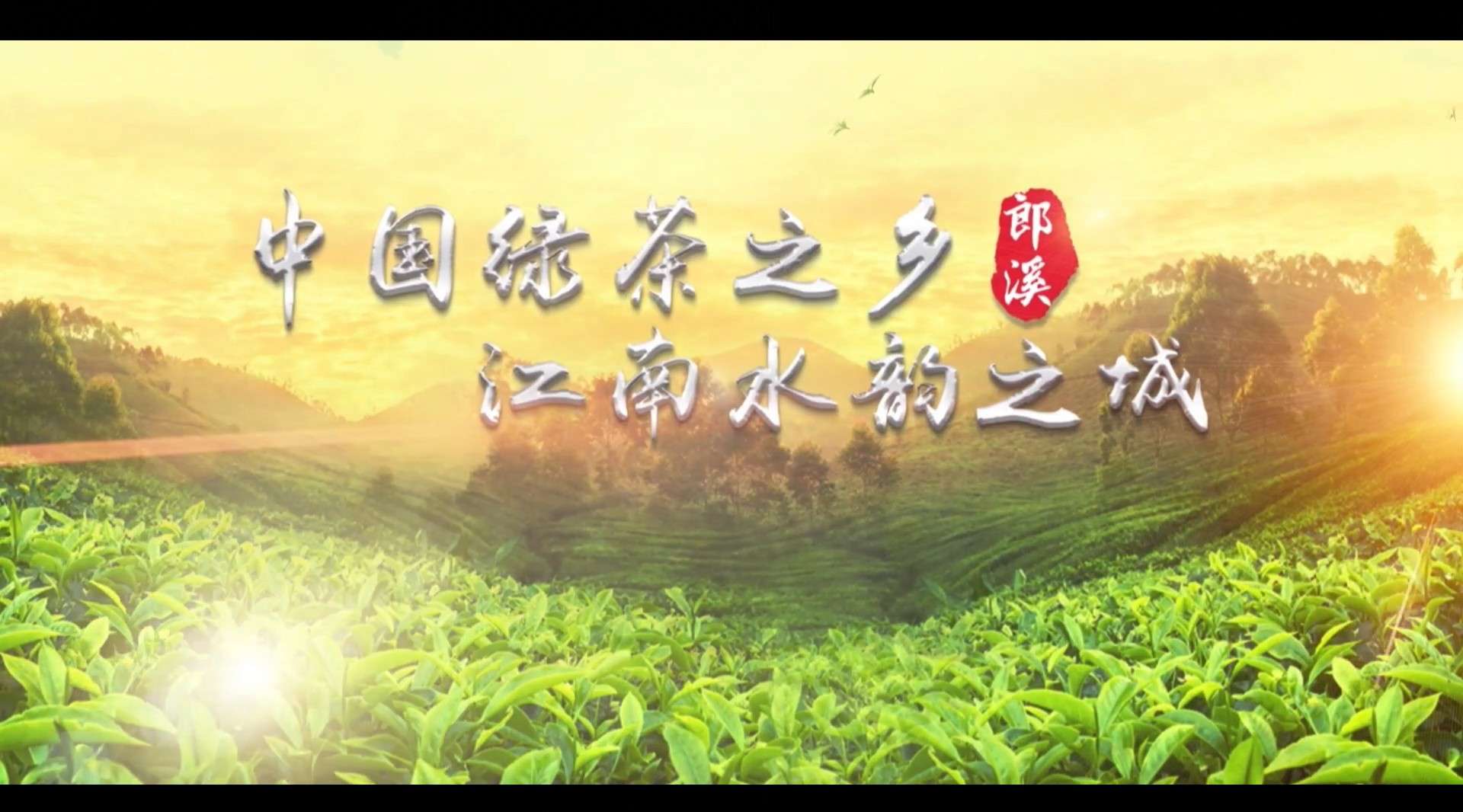 中国绿茶之乡郎溪【领导审核版4.30】