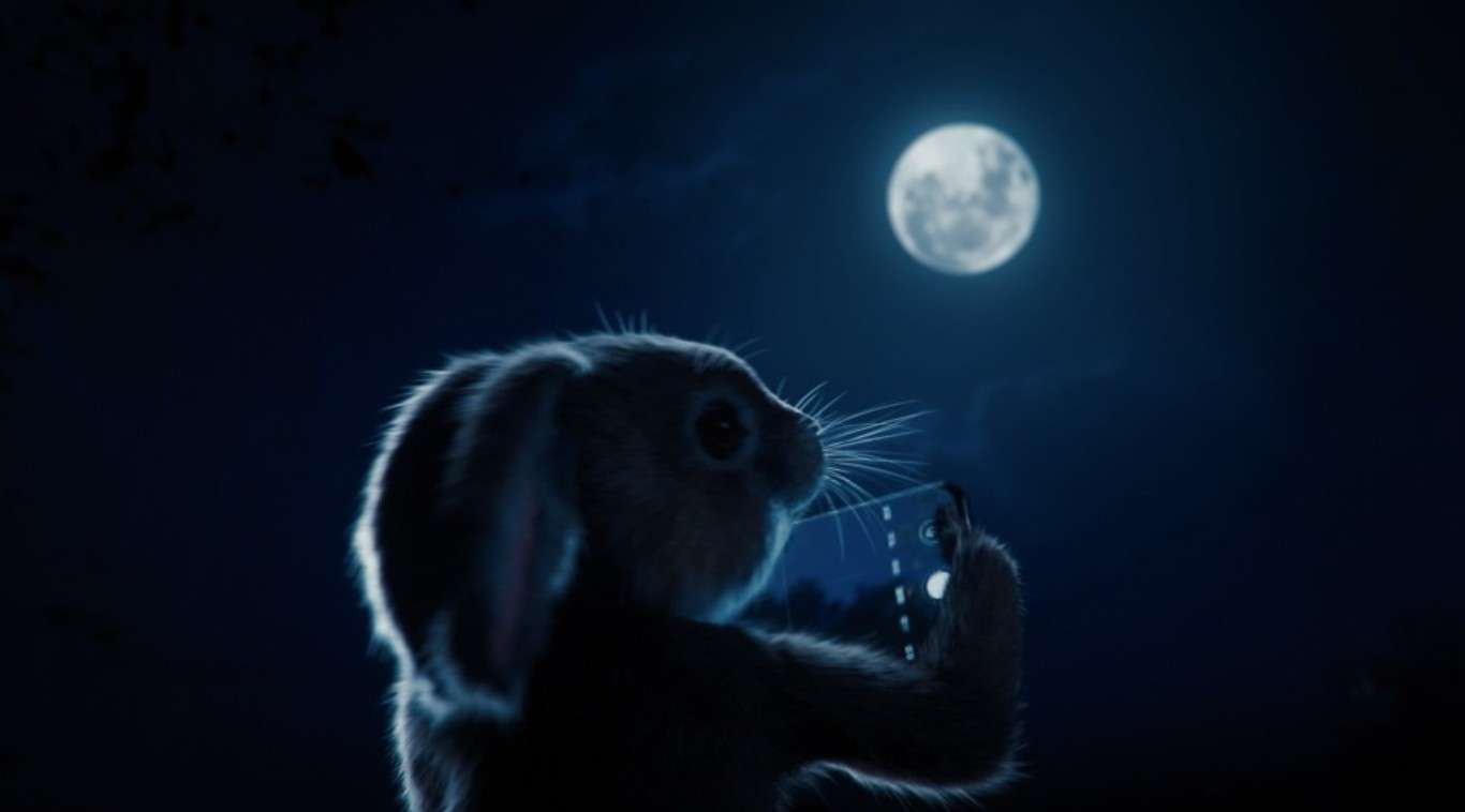 【华为P40】有惊无险！摄影兔的逃生技巧