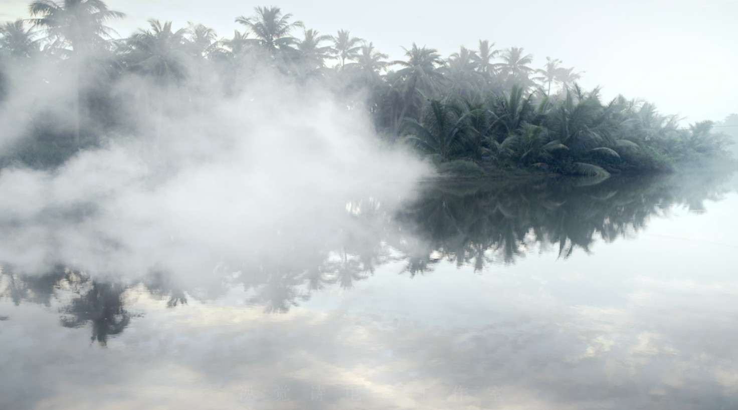 《椰子洲岛-环境片》——视觉诗电影工作室