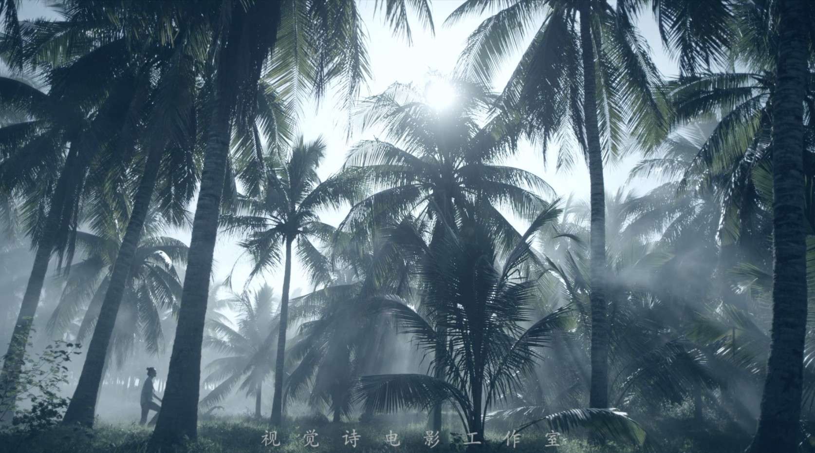 《椰子洲岛-乘物游心》——视觉诗电影工作室